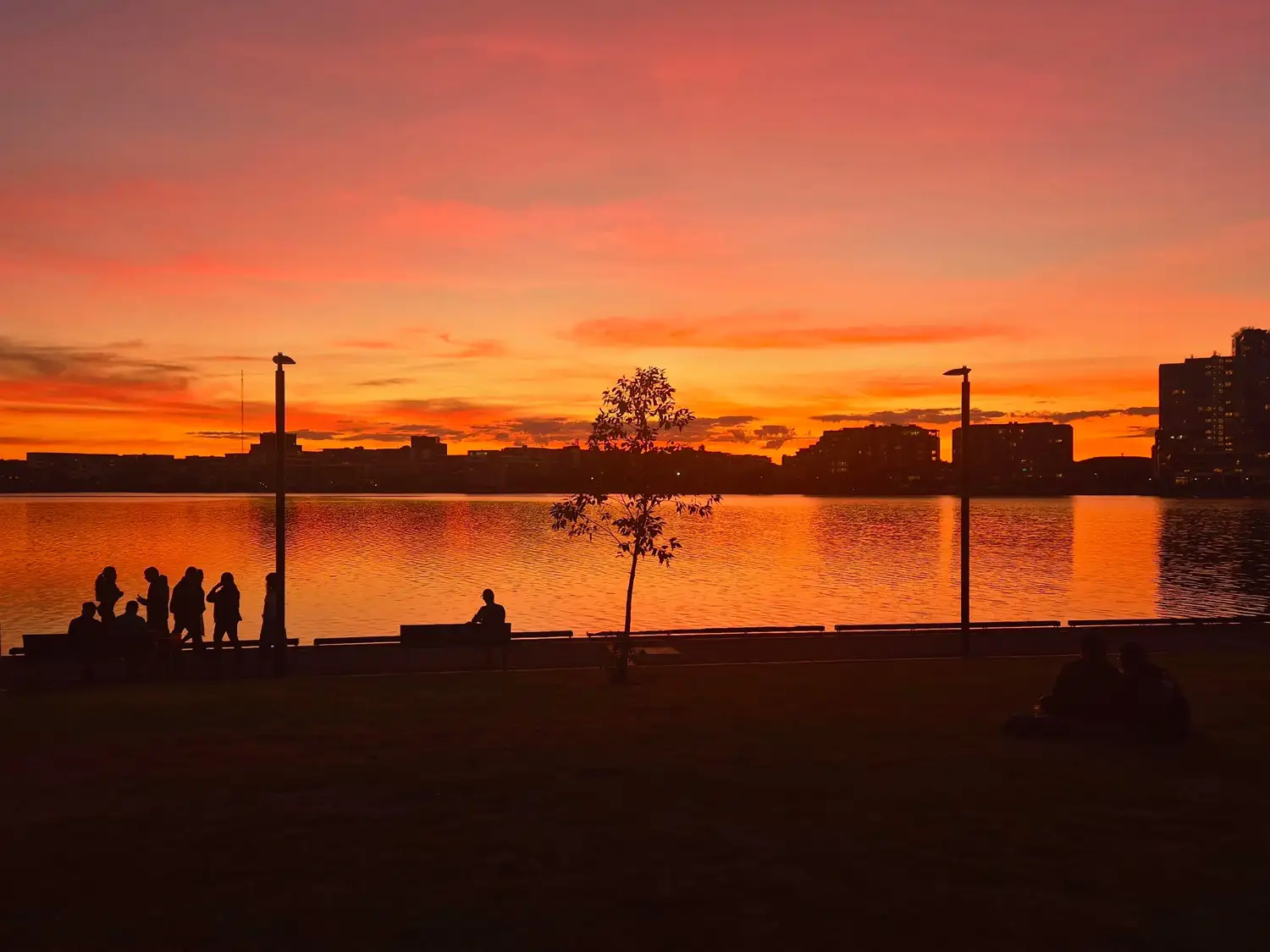Figures by the water at golden hour, near a single tree.